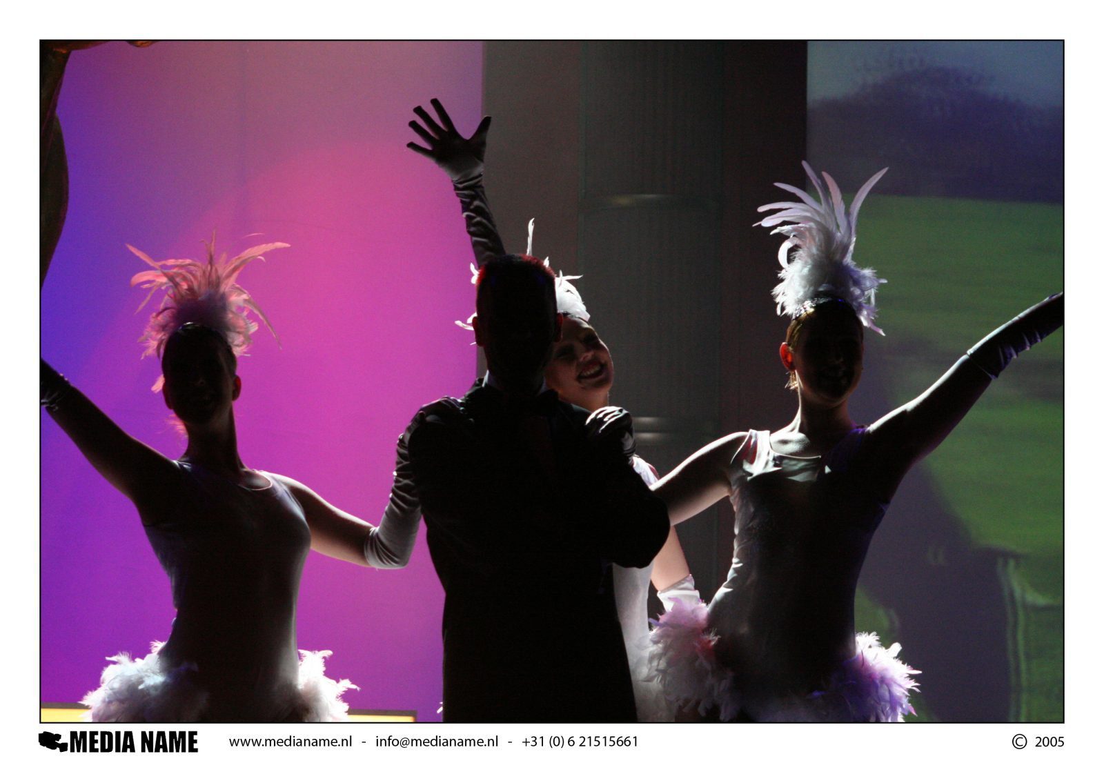 Ron Boszhard - Televisie en theater